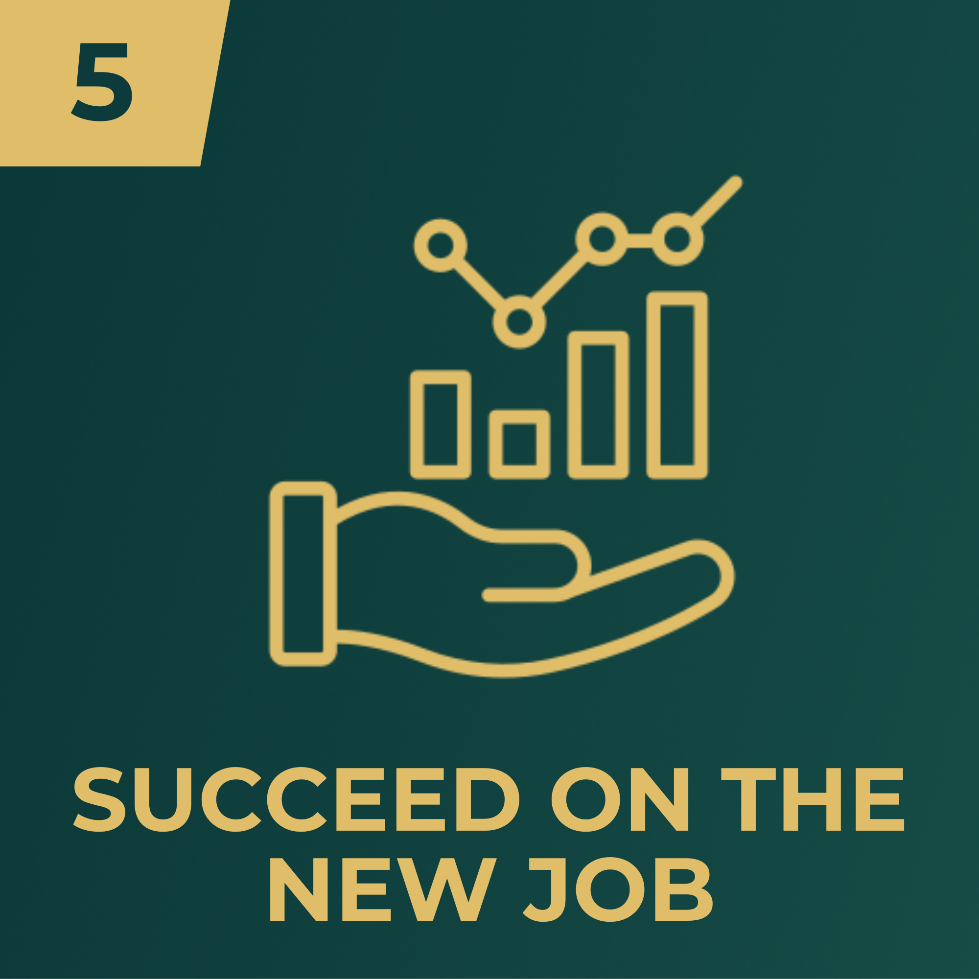 Job Search Master - Module 5 - Succeed in Your New Job